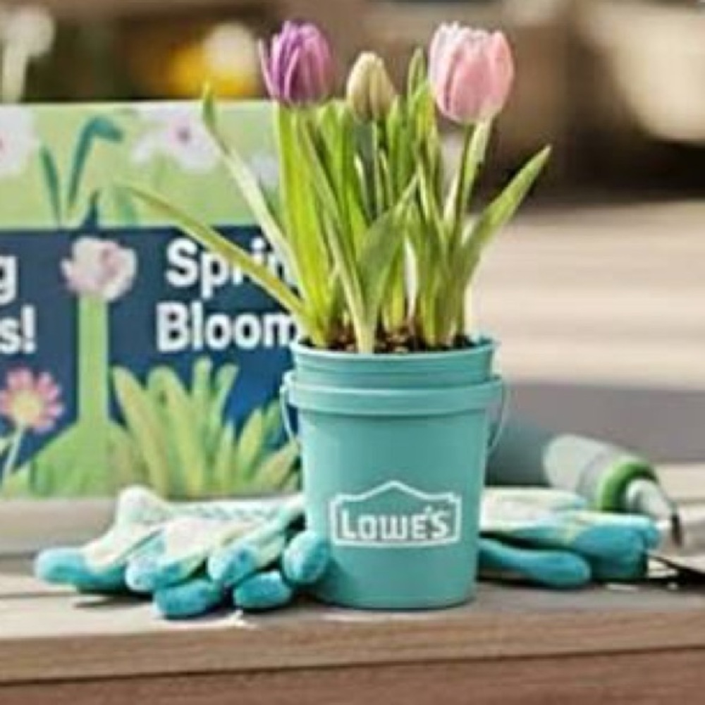 Lowe’s Mini Teal Bucket - Picture 3 of 9